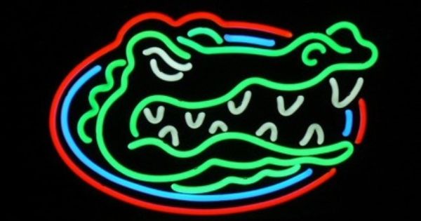 UF Florida Gator Neon Sign cool Swamp life Pinterest