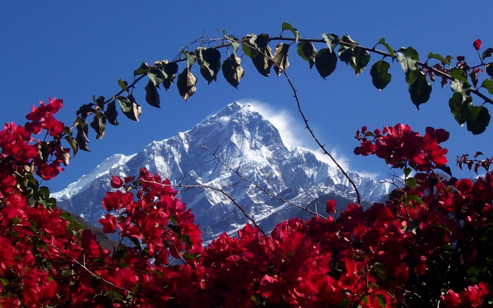  TGxUtN78AeIAAAAAAAAATYRfAxIeUXAyUs16006   Himalaya in Nepaljpg