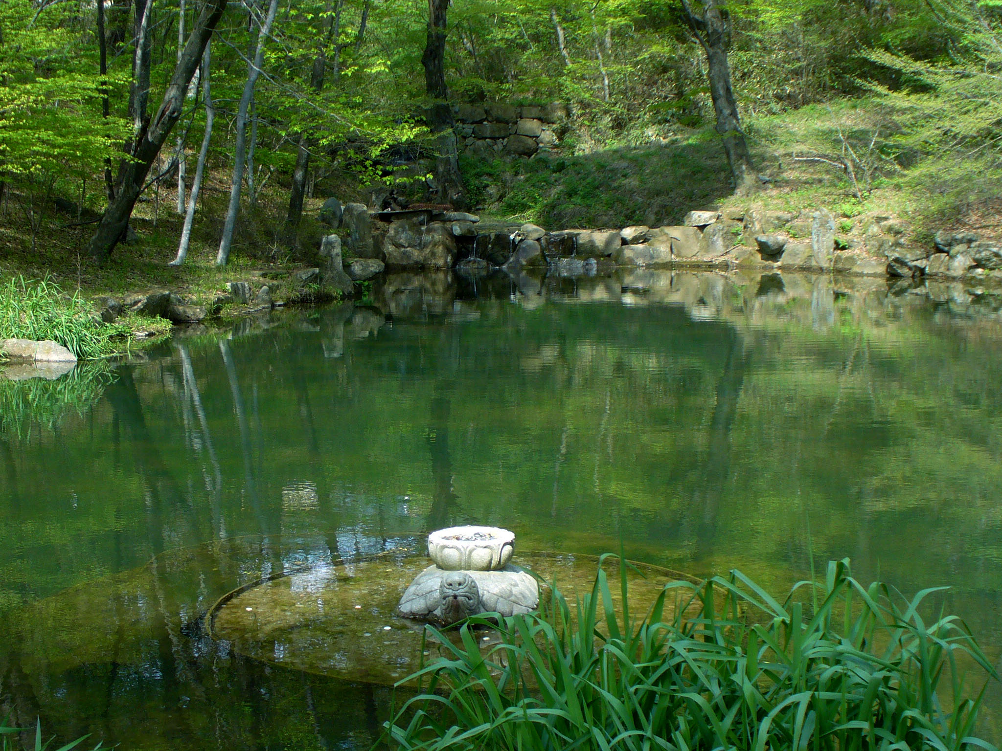 Pond Wallpaper