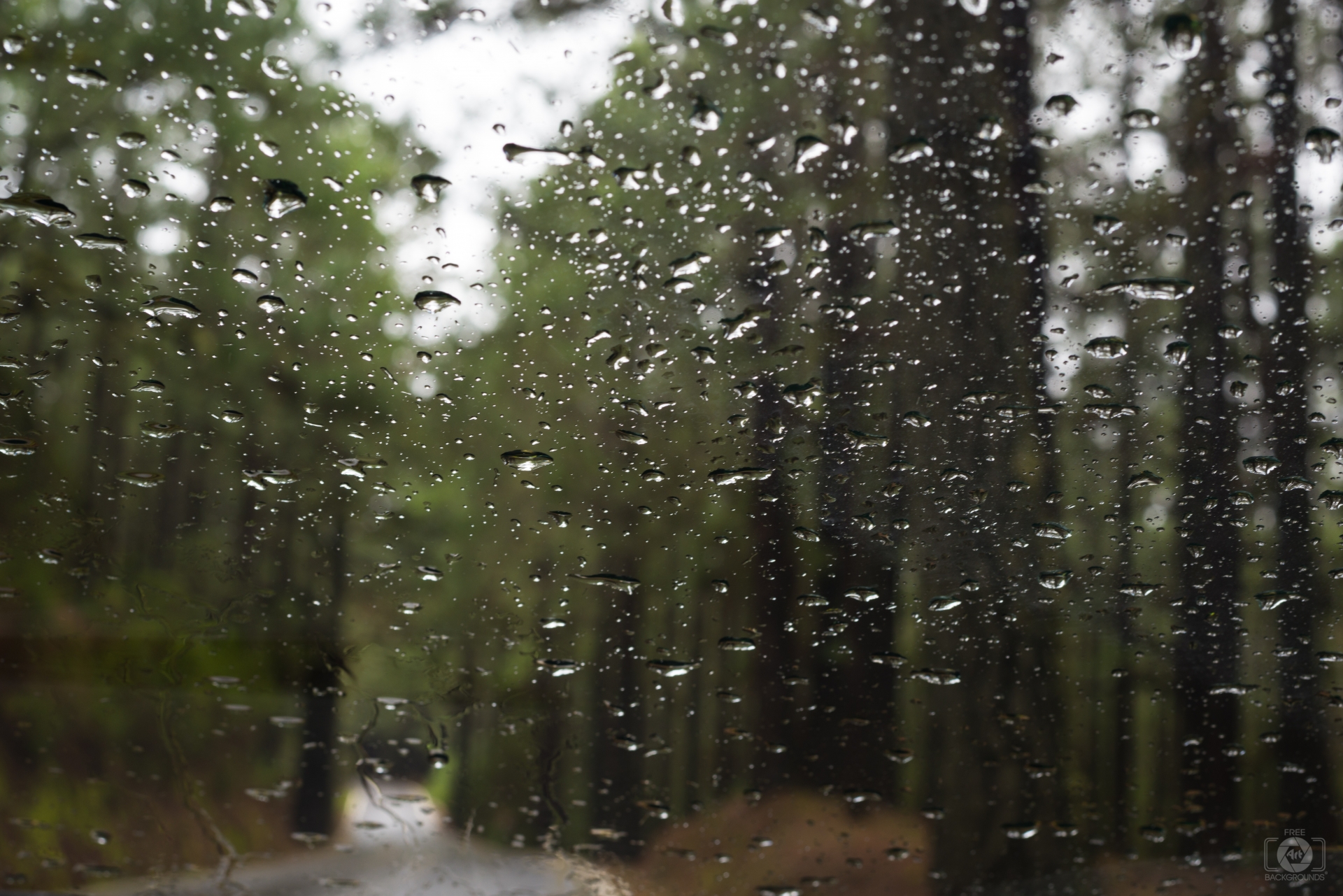 Raindrops On Car Window In Forest Background High Quality