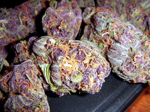 The Cyphe Purple Weed Drank Heart Sargeant