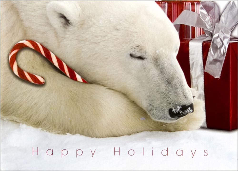 Home Christmas Cards Animals Polar Bears Bear And Candy