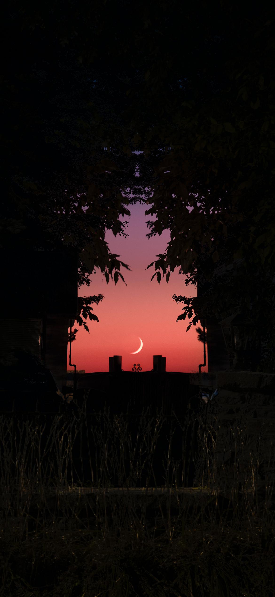Wallpaper