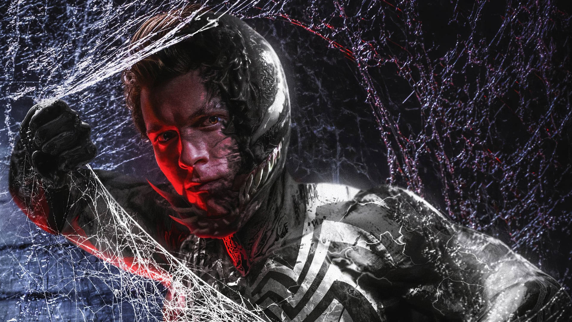 Top Venom Let There Be Carnage Wallpaper Full Hd 4k To Use