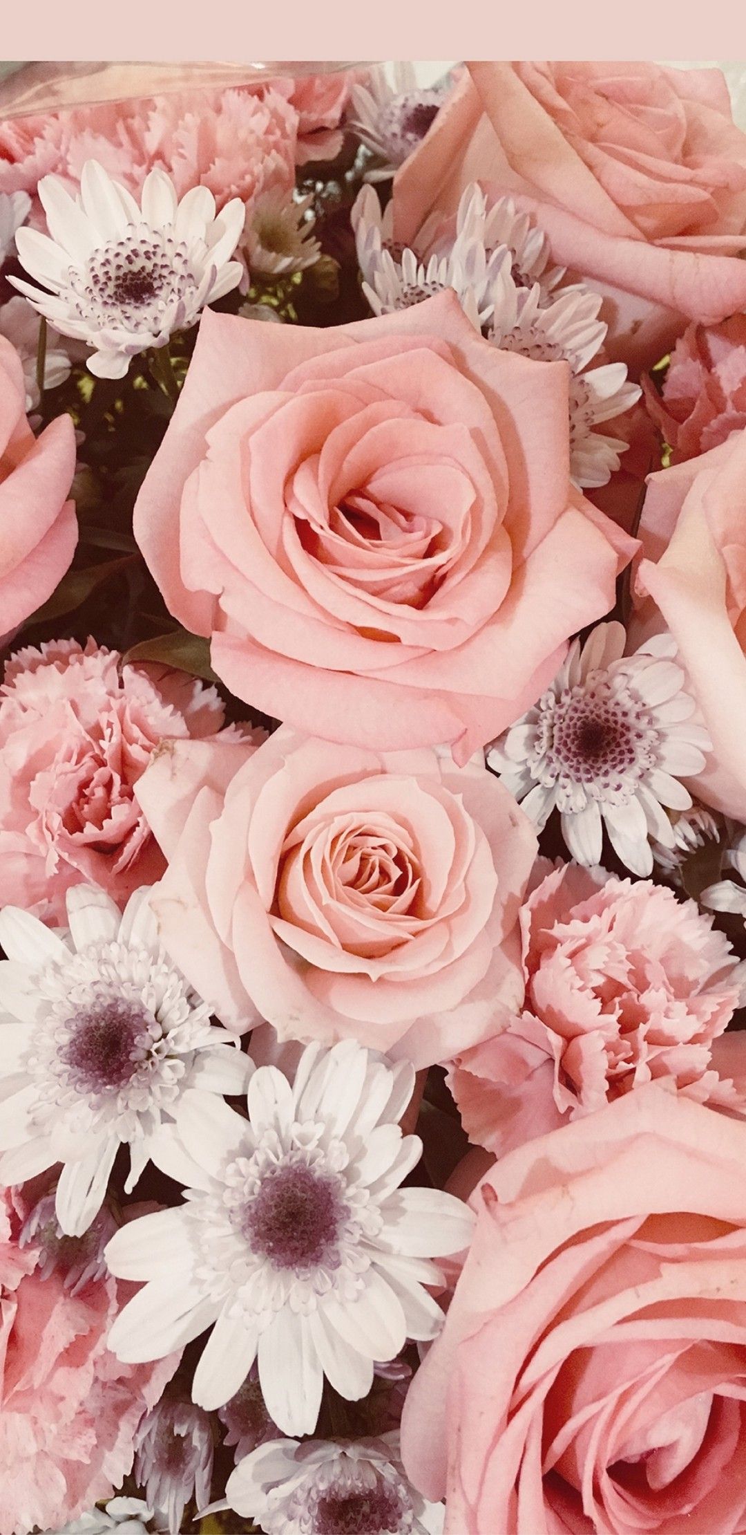 Alexa Ensz On Roses Wallpaper
