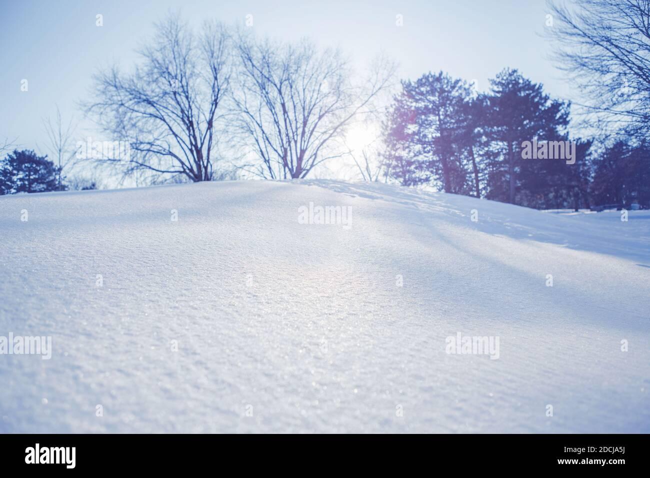 White Snow Winter Landscape With Trees Background Christmas