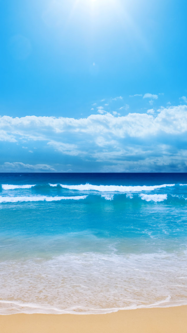 Hãy cùng ngắm nhìn bức hình nền Hoa Văn Đại Dương tuyệt đẹp này cho iPhone