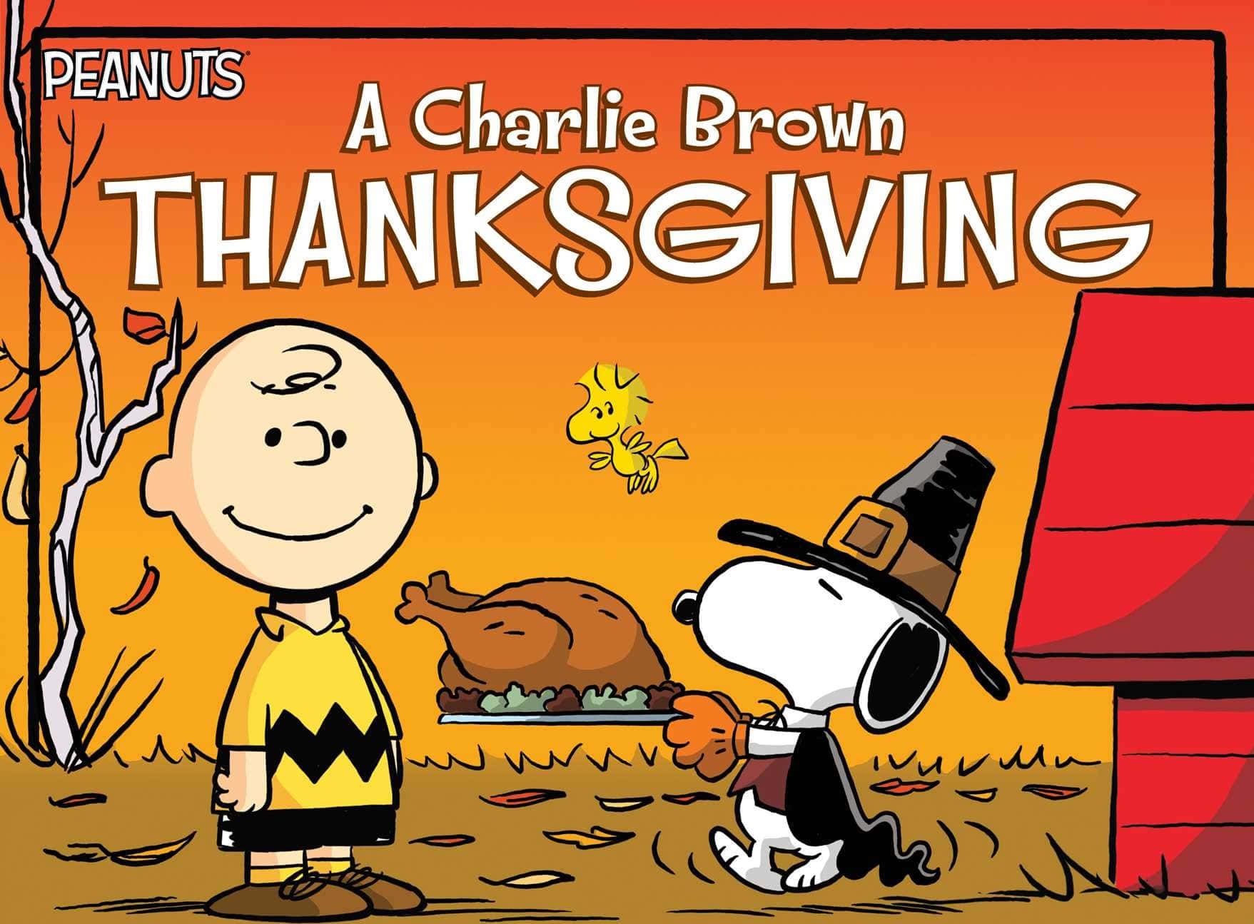 Charlie Brown Thanksgiving Wallpaper