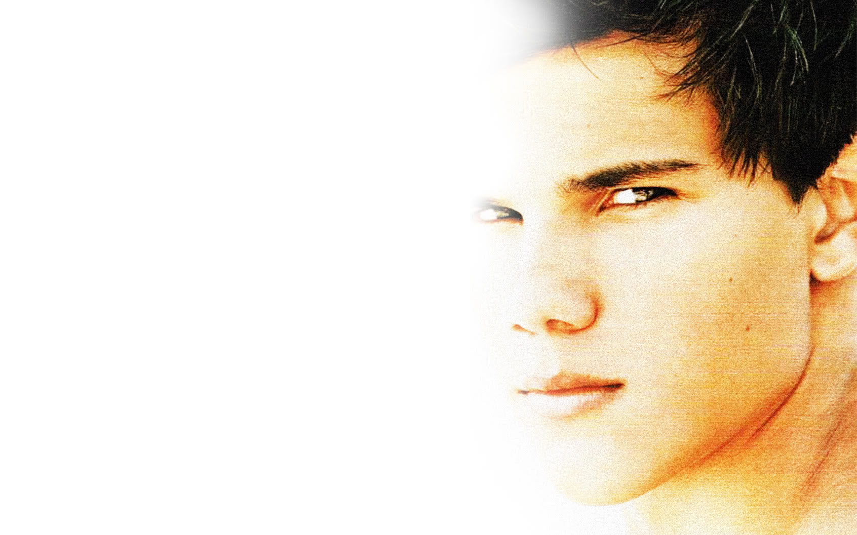 Taylor Lautner Twilight Wallpaper HD Wallpup