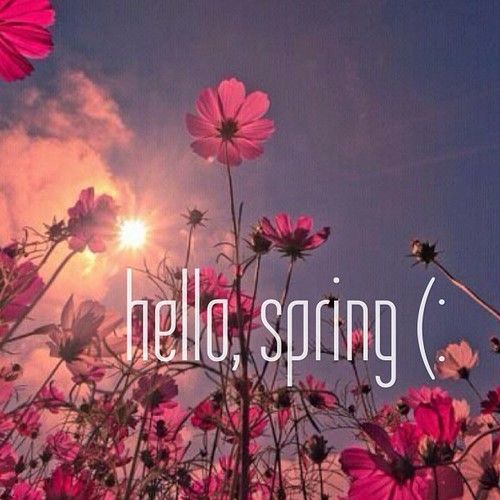 welcome spring tumblr