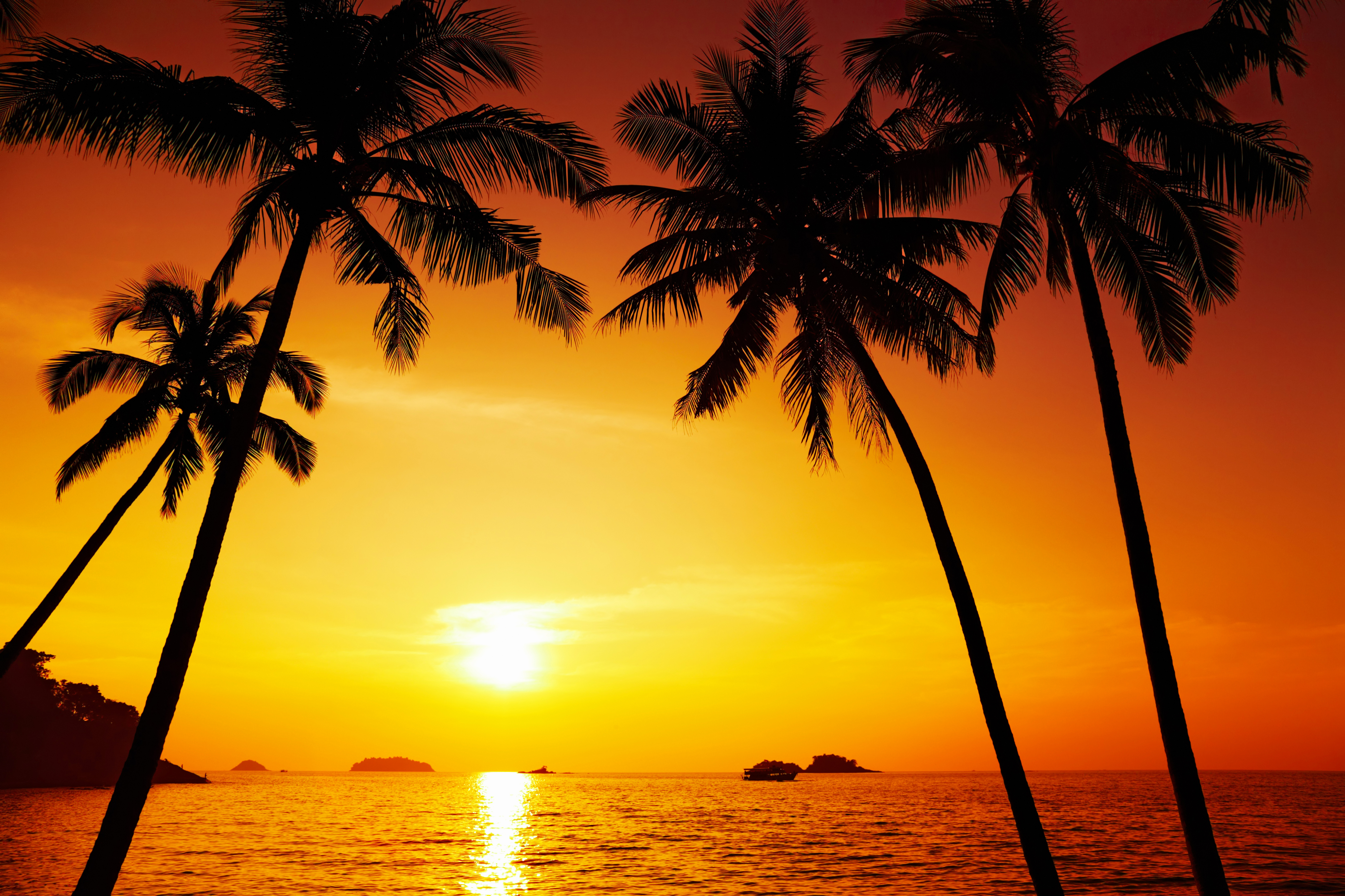 Beach Sunset Background Gallery Yopriceville   High Quality