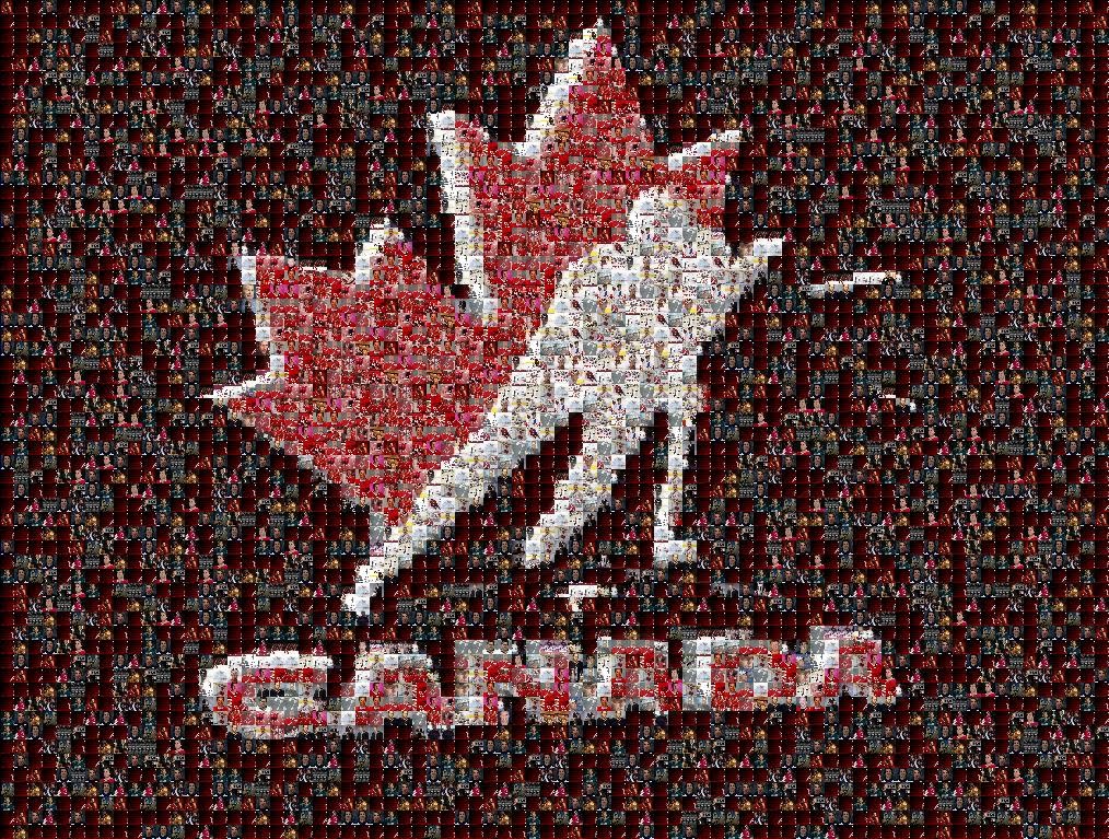 Team Canada Photo Mosaic Based On A Hockey