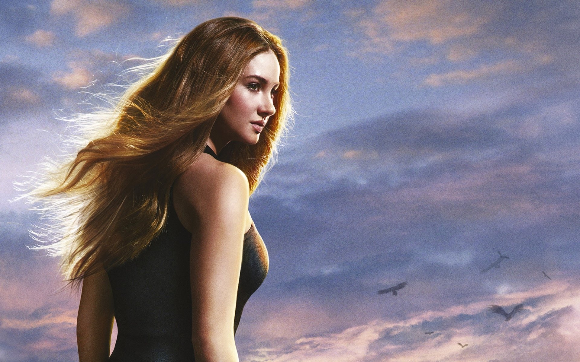 Shailene Woodley HD Wallpaper