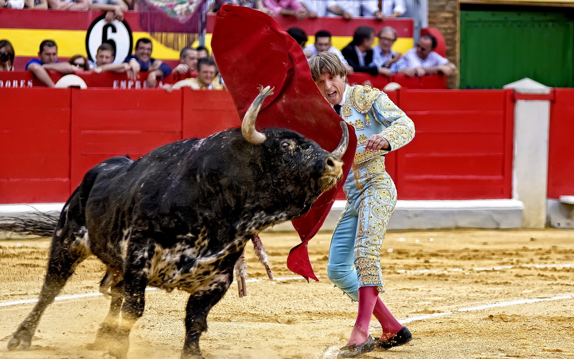 Bull Fighting Spanish