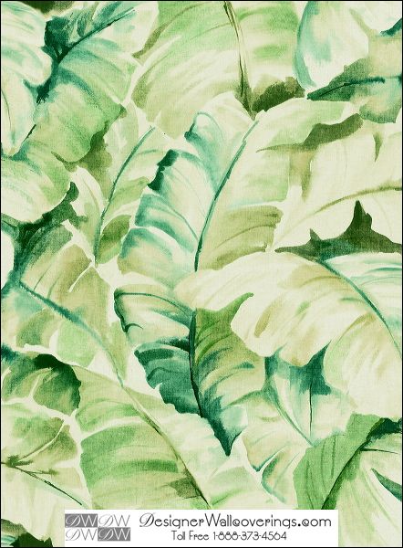 Titos Tropical Banana Leaf Wall Paper [WAT 39934] Designer 442x600