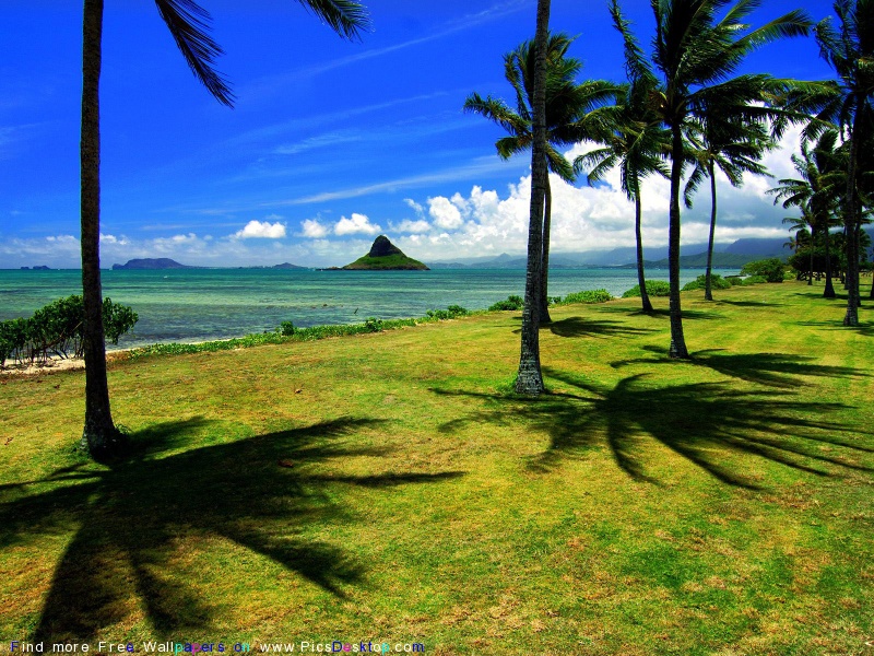 Nature Summer Desktop Wallpaper Pics
