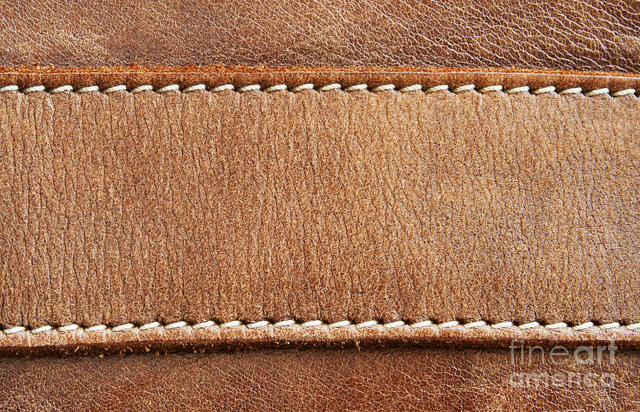 Leather With Stitching Photograph By Blink Image
