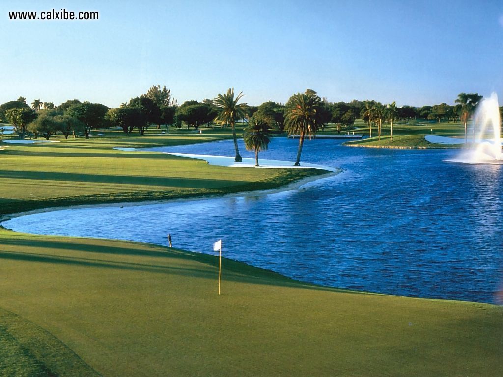 Miscellaneous Golf Courses Doral Resort 18th Hole Picture Nr