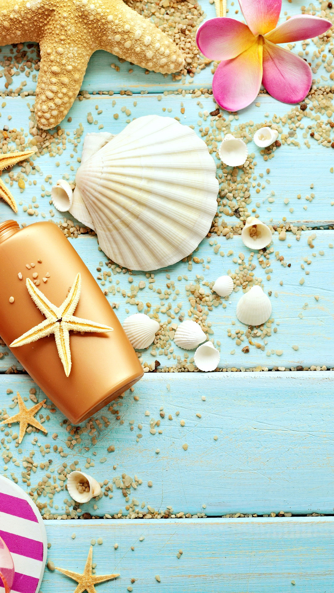 Seashells Desktop Wallpaper