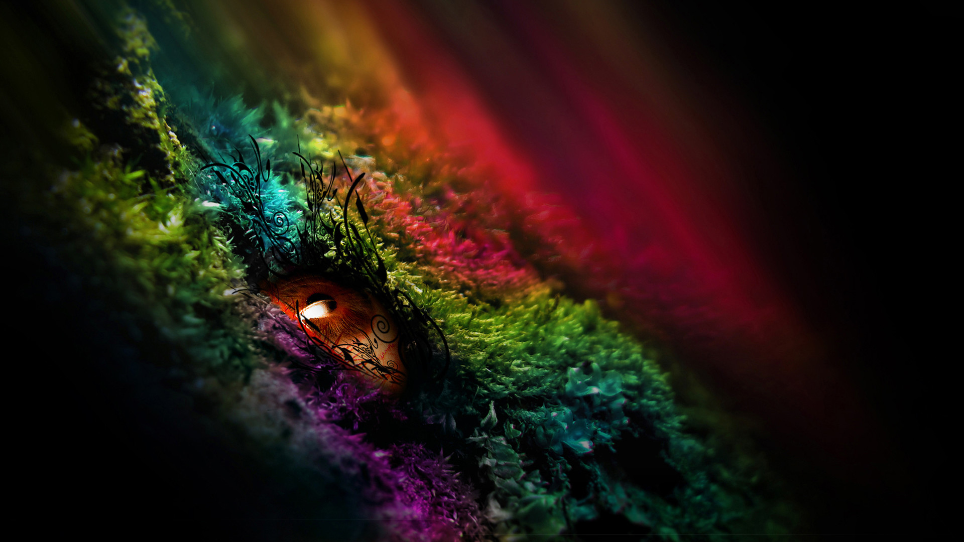 Color HD Wallpaper Image