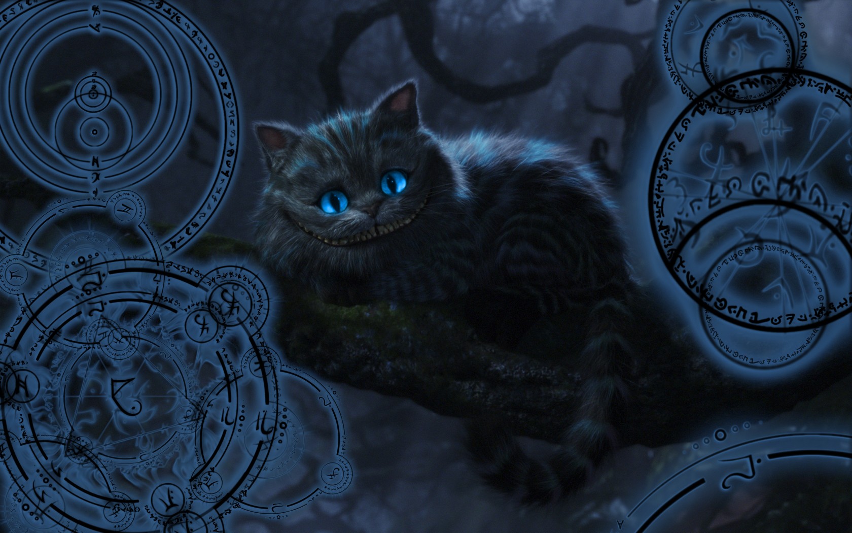 Alice In Wonderland Cheshire Cat HD Wallpaper Animals Zoo