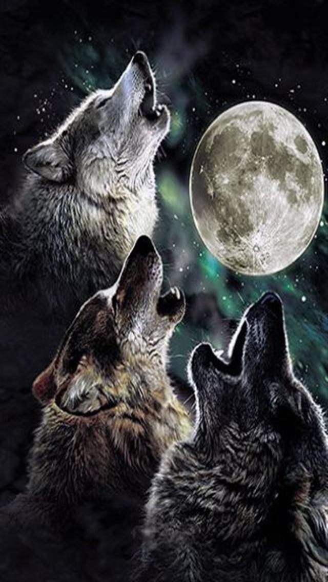 Wolf Moon Funny iPhone Wallpaper S 3g