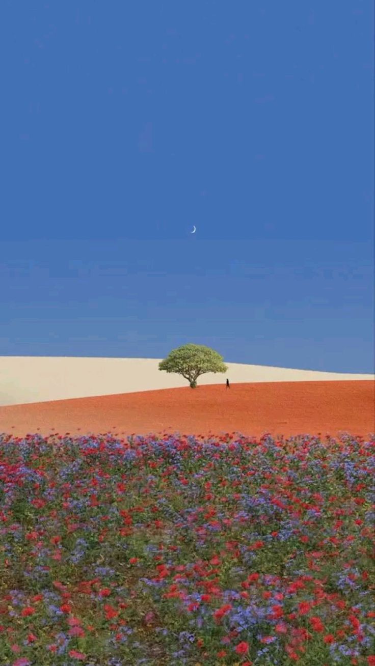 iPhone Wallpaper HD