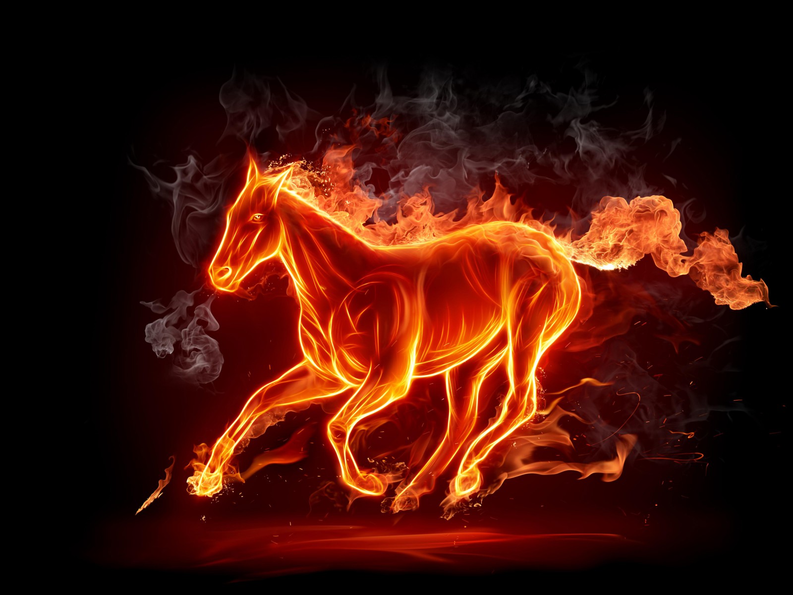 Fire Horse Image Photos