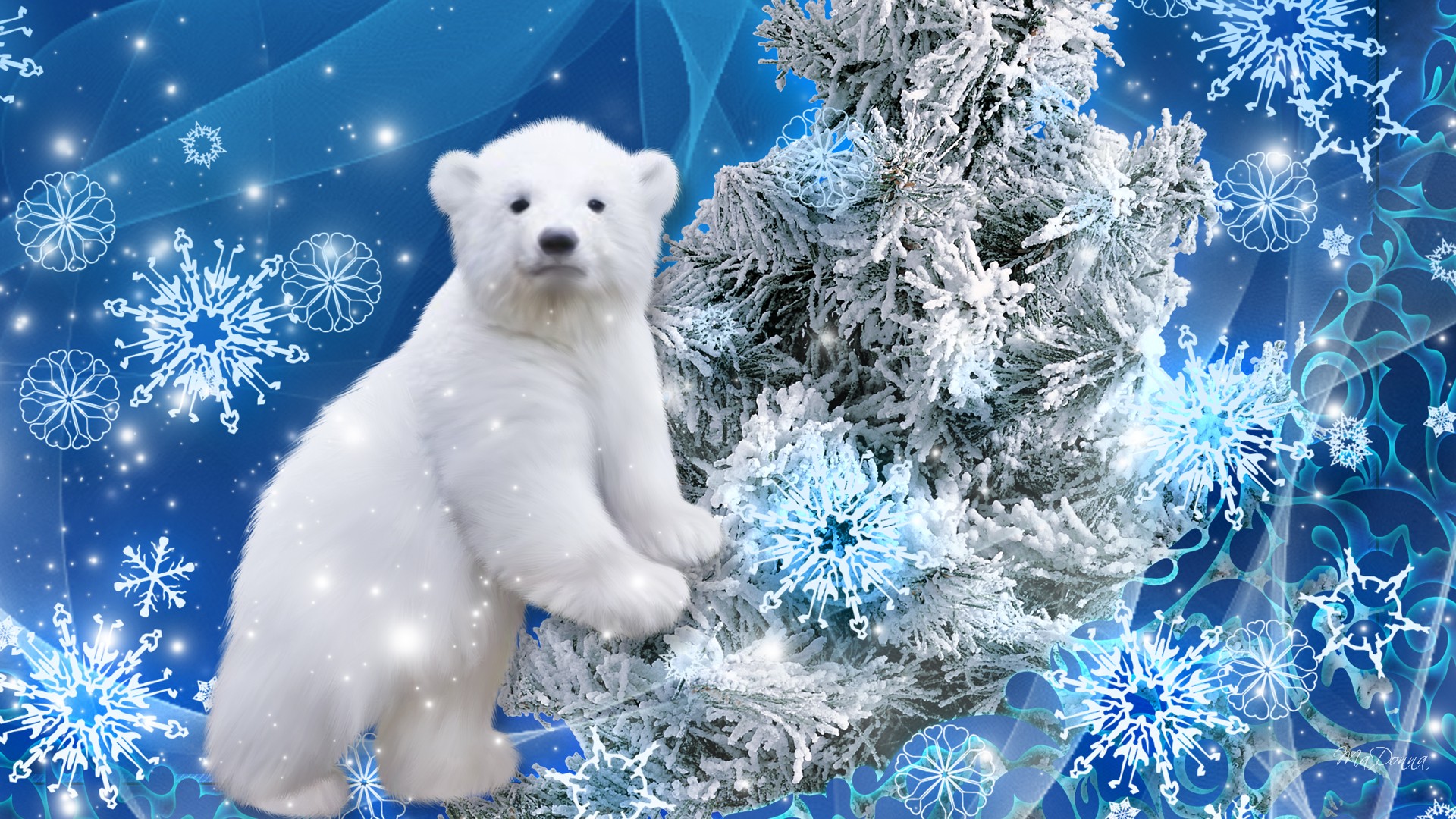 Navidad De Oso Polar Fondo Pantalla