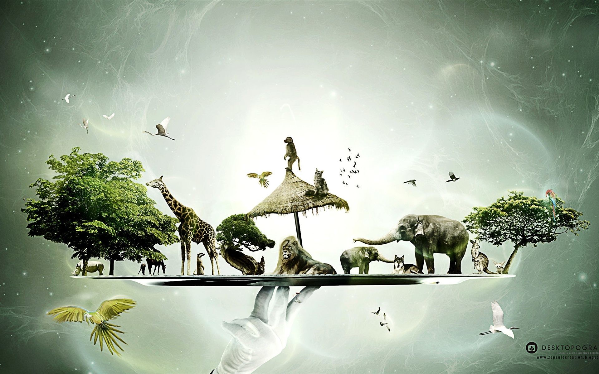 Creative Wallpaper For Desktop