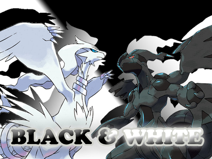 Pokemon Black And White Wallpaper Graphics Image Search Results