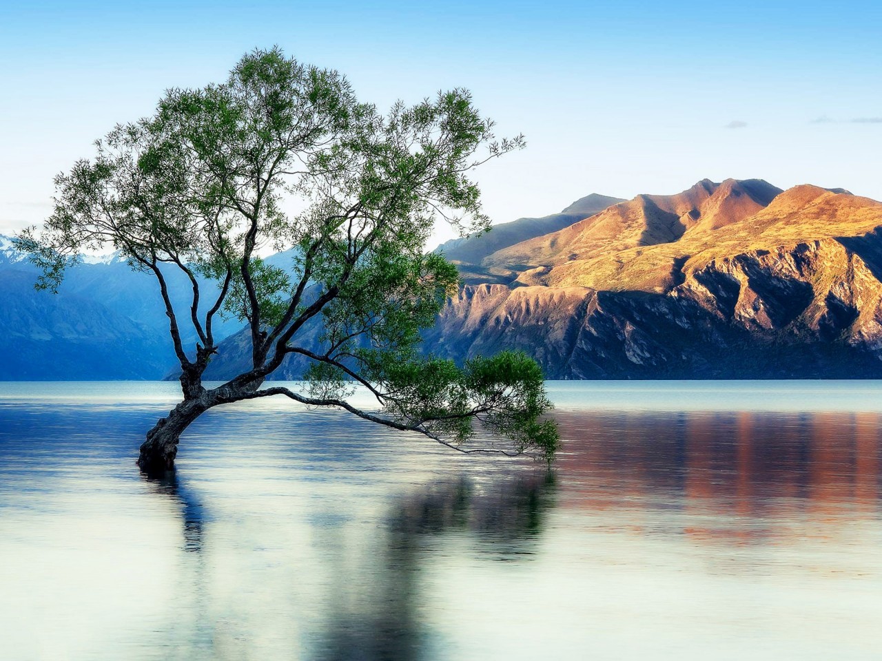 Lake Wanaka Beautiful Reflection New Zealand Wallpaper For
