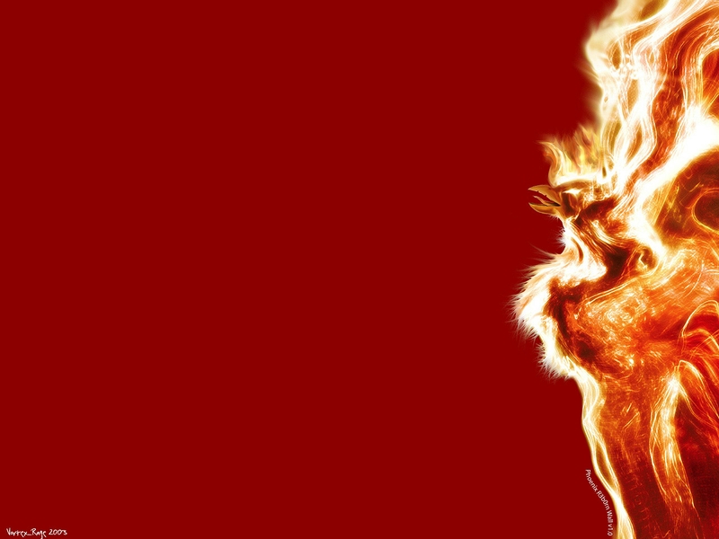 flames birds fire phoenix Animals Birds HD Desktop Wallpaper