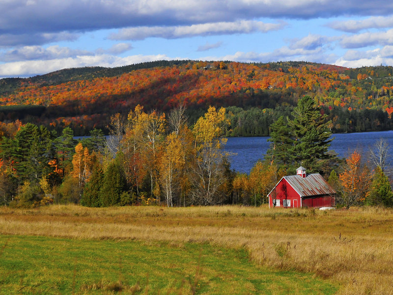 Vermont Fall Foliage By Mand3rz
