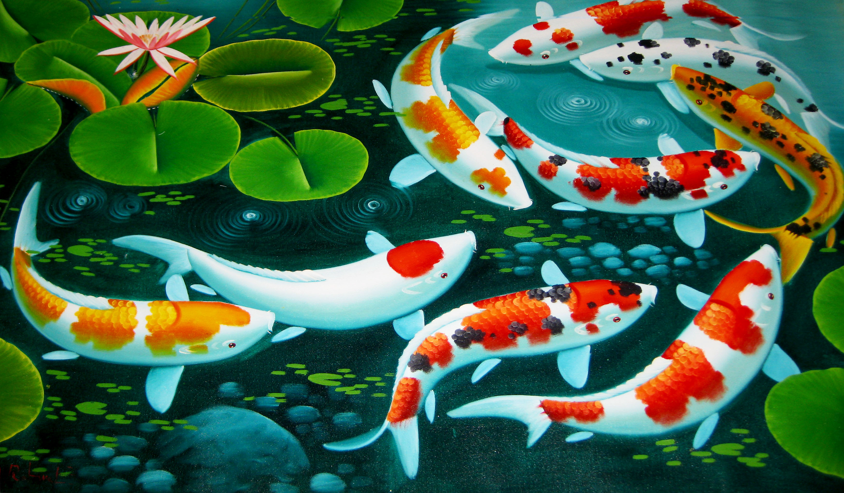 Koi Pond Wallpaper WallpaperSafari