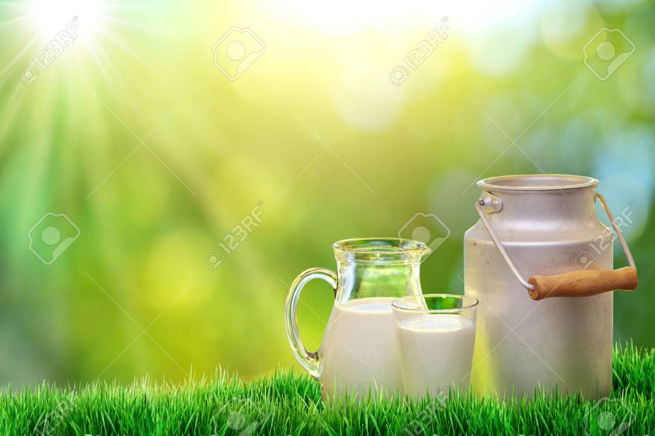 Fresh Organic Milk Nature Background Stock Photo Picture And