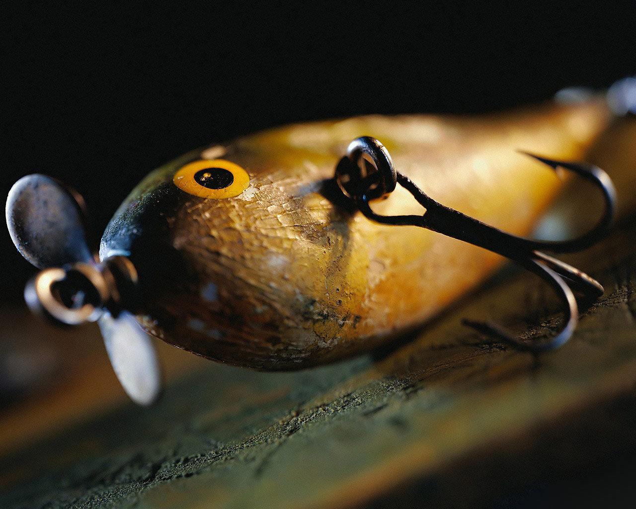 Fishing Lure Wallpaper For Your