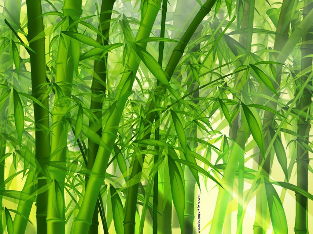 Foresta Di Bamb Giapponese File Vettoriale