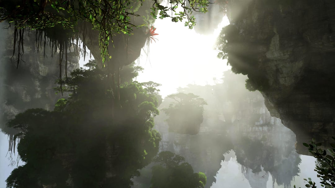 Avatar Photos Of Pandora Wallpaper Edition V0 Tanczit7kinc1