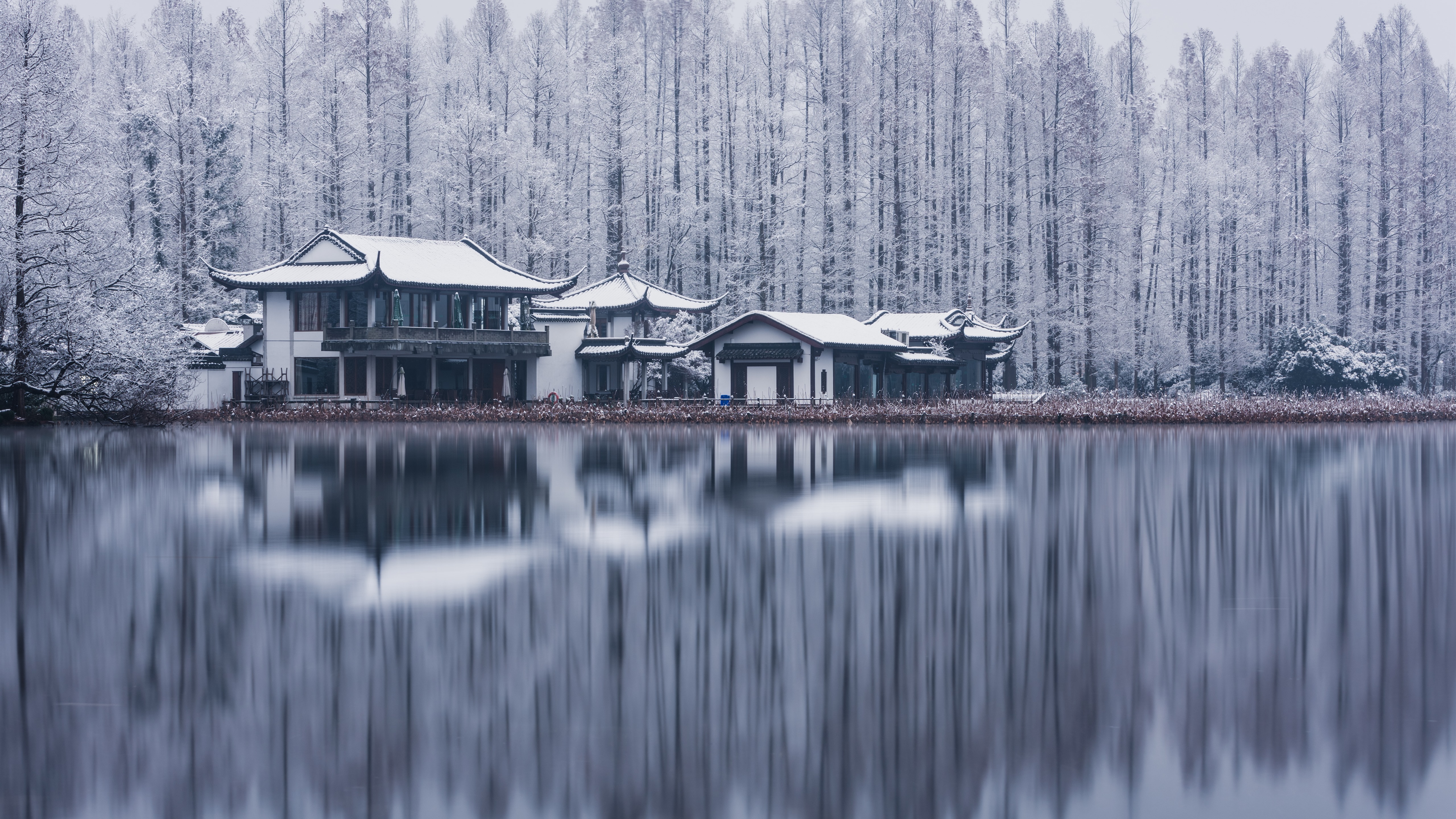 Wallpaper West Lake Hangzhou trees buildings snow winter 5120x2880