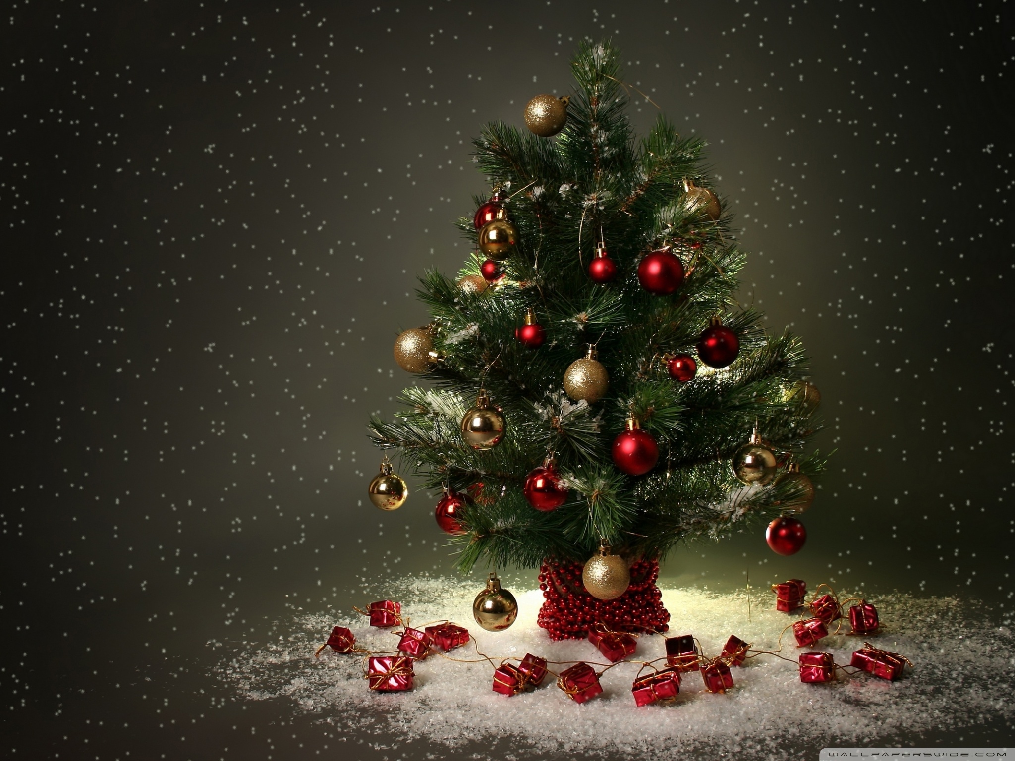 Small Christmas Tree 4k HD Desktop Wallpaper For Ultra Tv