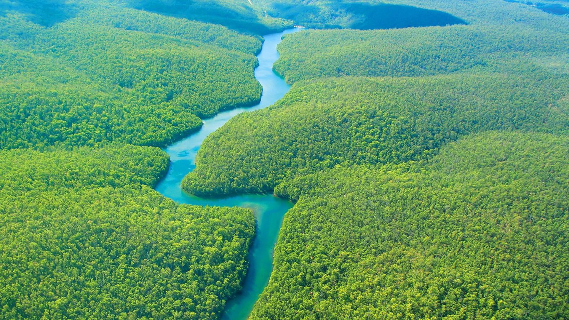 Amazon Rainforest Wallpaper For Mac #VFj | Hd nature wallpapers, Nature  wallpaper, Nature photography
