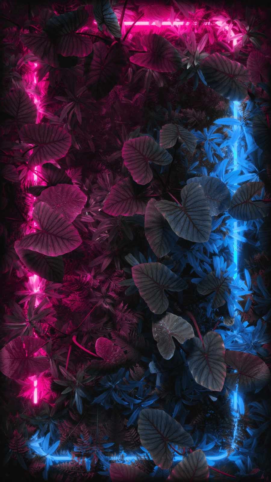 iPhone Wallpaper For X Xr