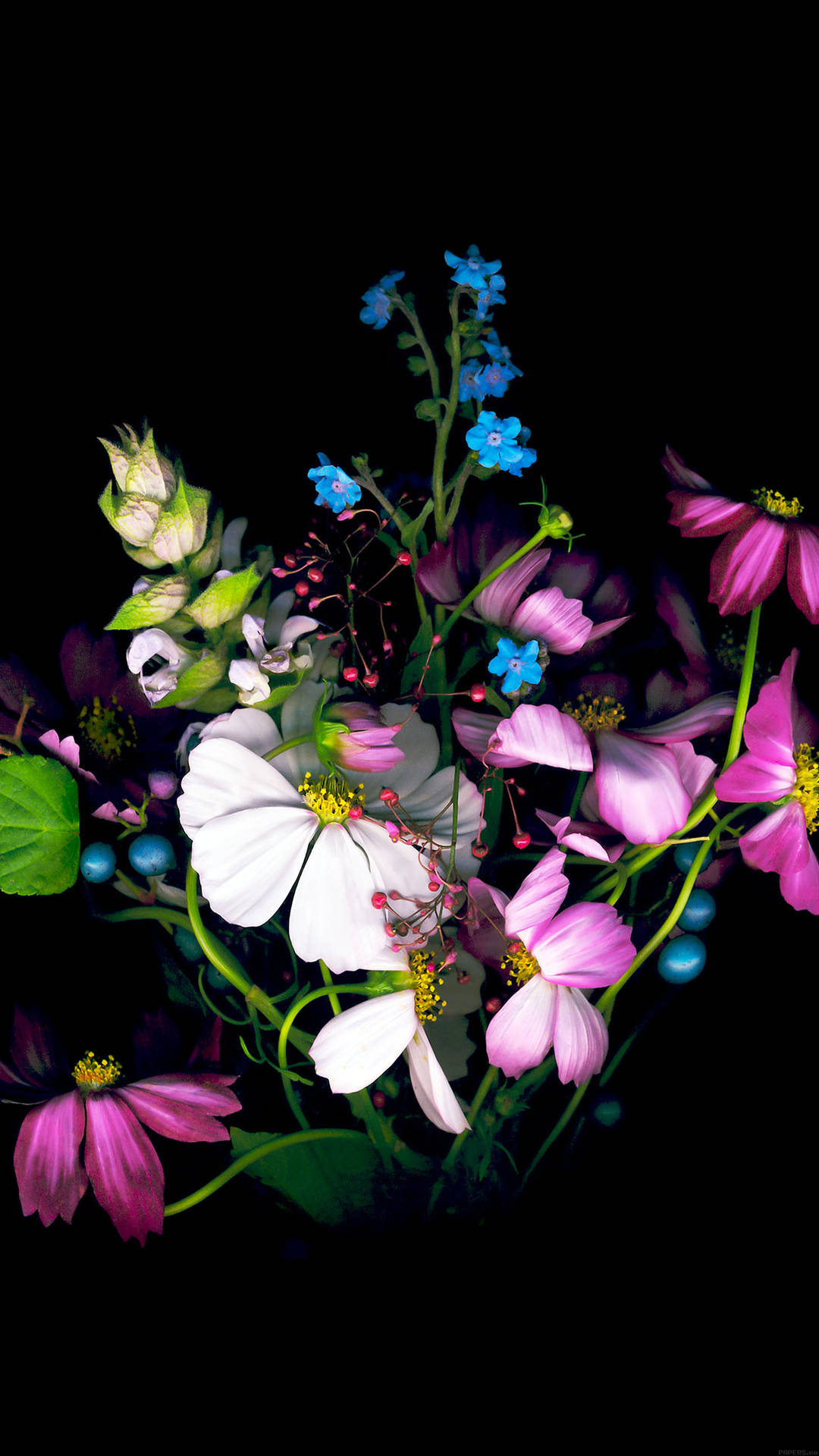 Dark Floral Background Wallpaper