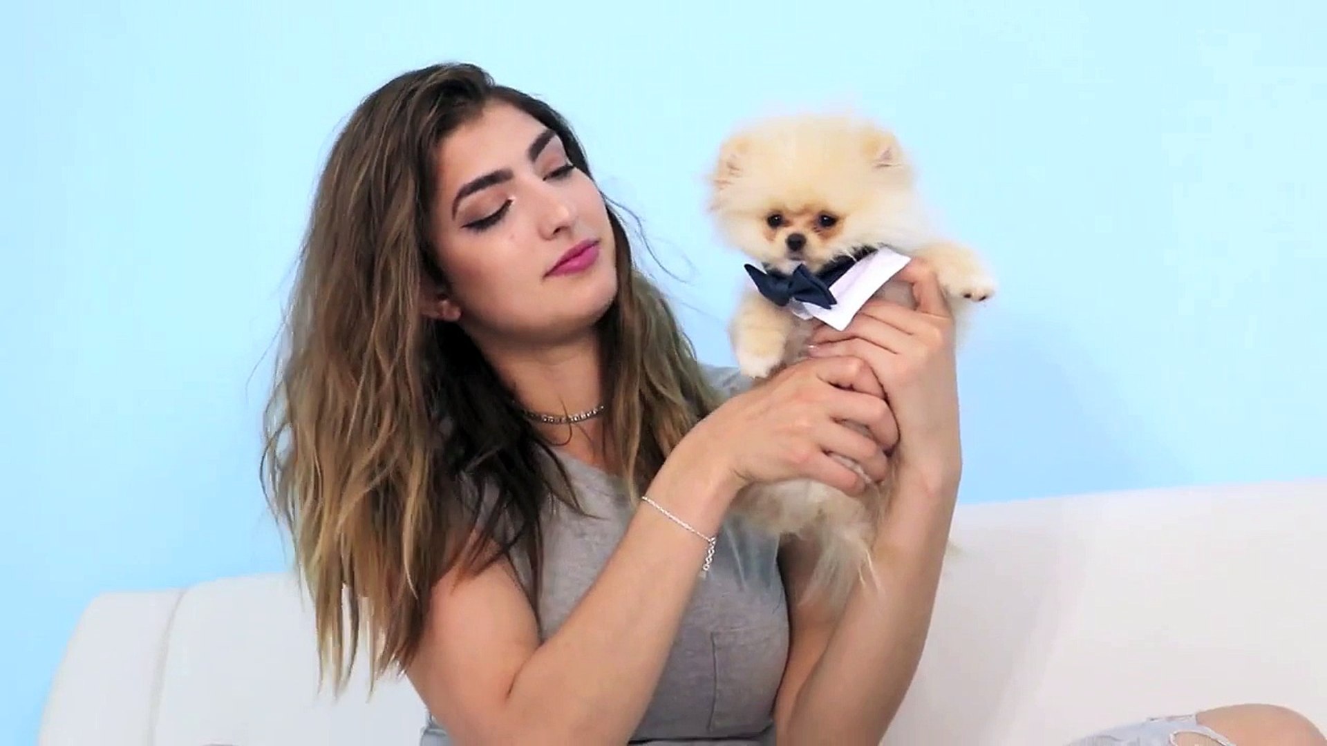 Rclbeauty101 Testing Out Weird Dog Gadgets With New Puppy