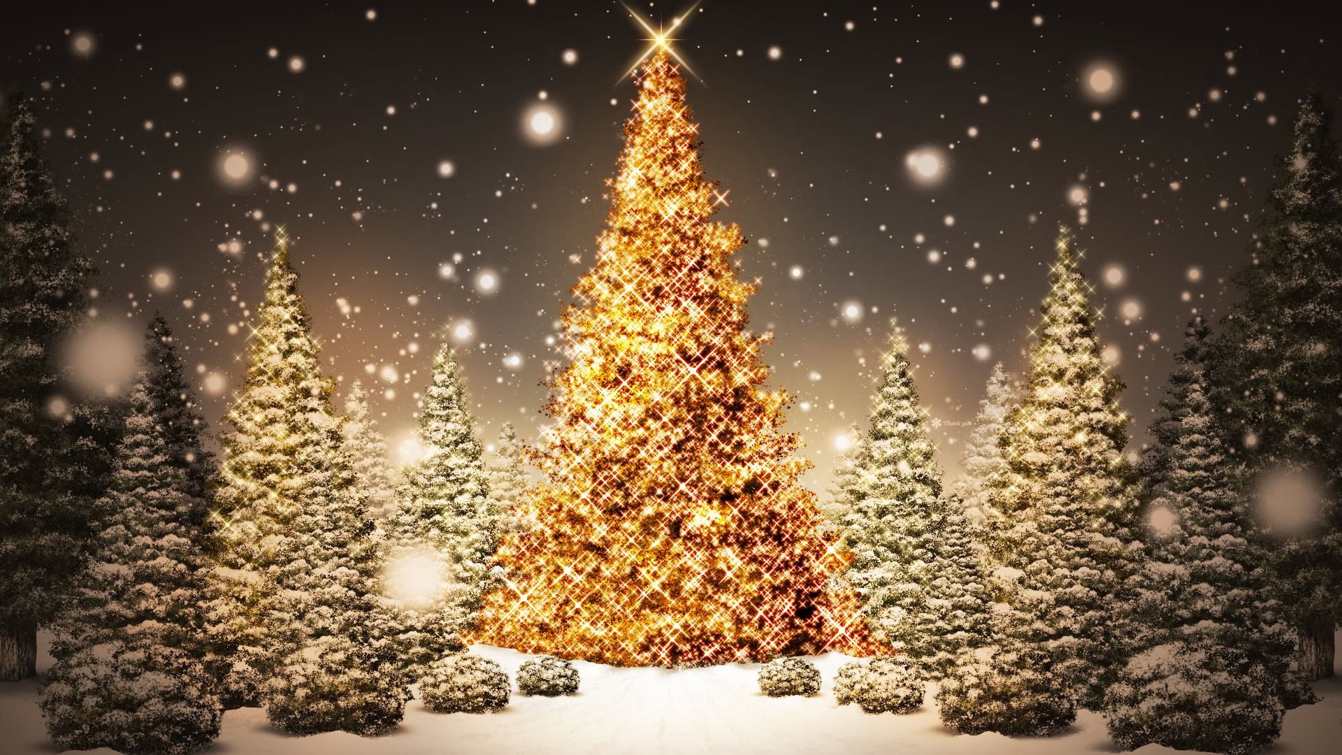 Sparkling Christmas Trees Google Background