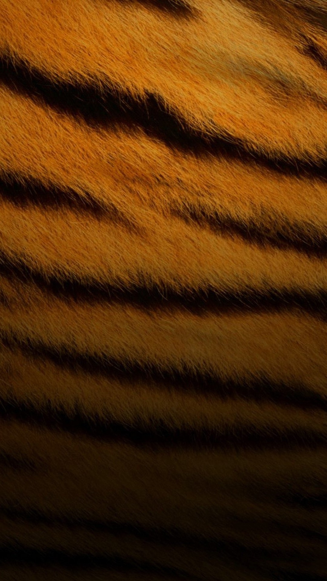 Tiger Fur Wallpaper