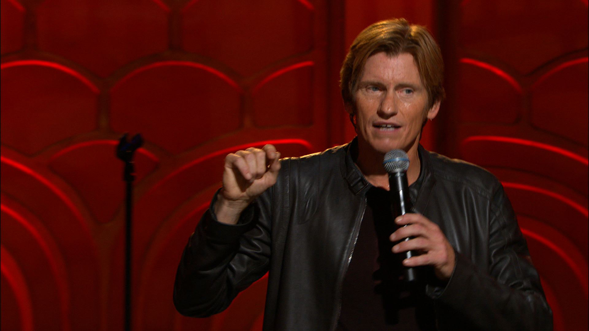 Pictures Of Denis Leary Celebrities