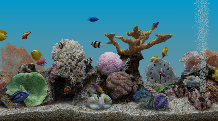 Marine Aquarium Live Wallpaper V1 Apktechglen Techglen Apps