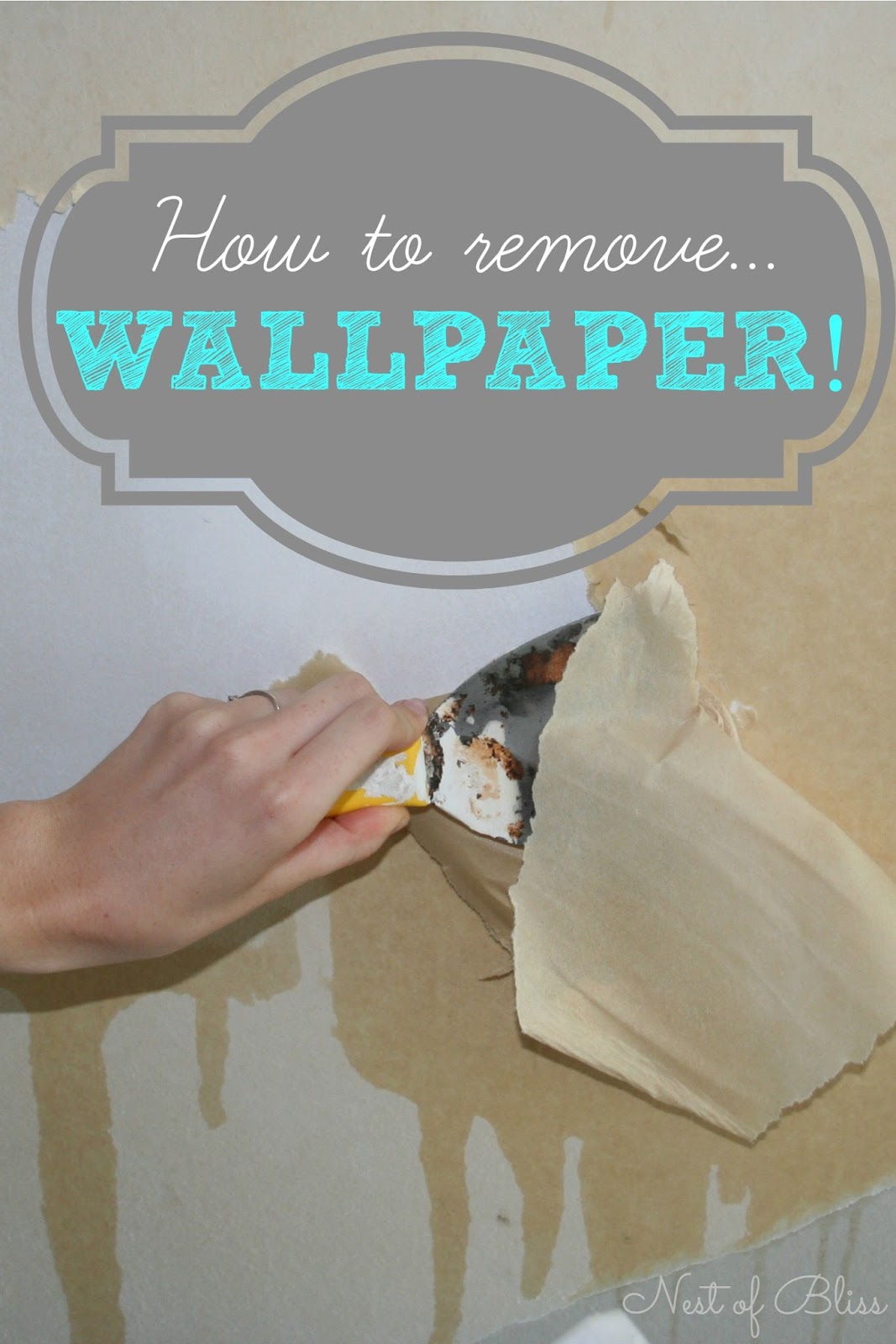 Free download how to take off old wallpaper from walls [1067x1600] for